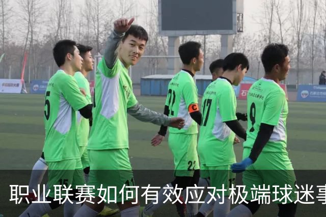 职业联赛如何有效应对极端球迷事件？